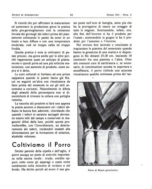 Rivista di agricoltura