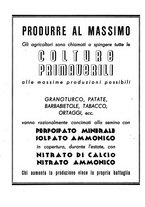giornale/RML0024944/1941/unico/00000210