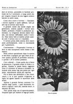 giornale/RML0024944/1941/unico/00000219