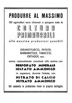 giornale/RML0024944/1941/unico/00000260