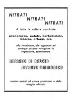 giornale/RML0024944/1941/unico/00000356