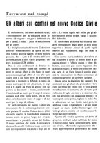 giornale/RML0024944/1941/unico/00000362