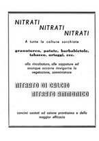 giornale/RML0024944/1941/unico/00000404