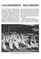 giornale/RML0024944/1941/unico/00000411