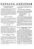 giornale/RML0024944/1941/unico/00000496