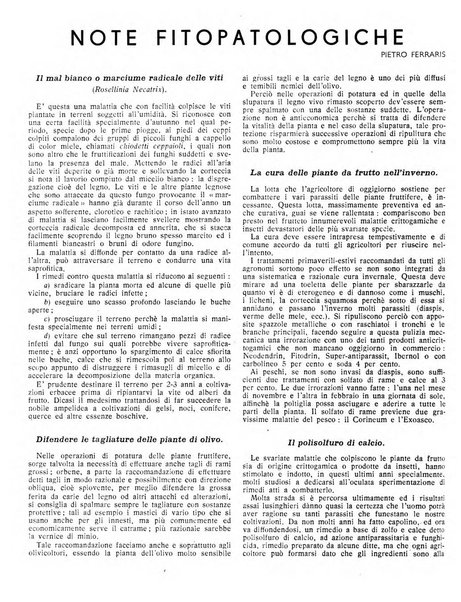 Rivista di agricoltura