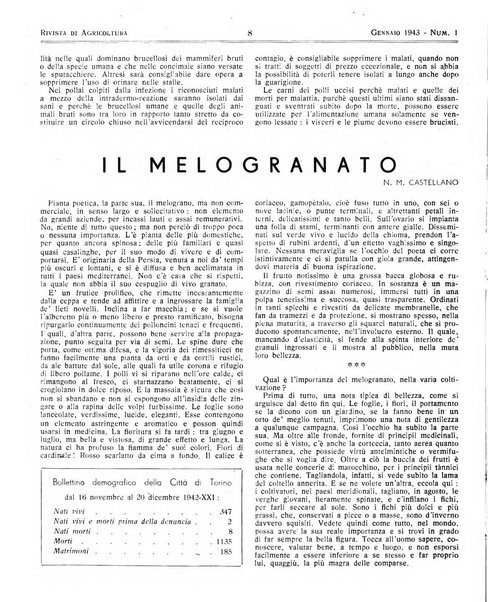 Rivista di agricoltura