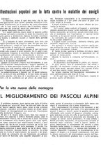 giornale/RML0024944/1943/unico/00000015