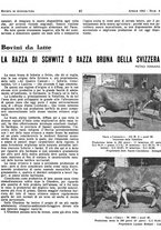 giornale/RML0024944/1943/unico/00000075