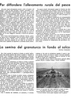 giornale/RML0024944/1943/unico/00000077