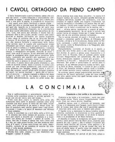 Rivista di agricoltura