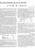 giornale/RML0024944/1943/unico/00000185
