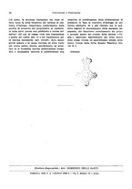 giornale/RML0025276/1931/unico/00000112