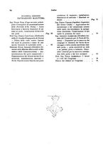 giornale/RML0025276/1931/unico/00000788