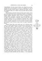 giornale/RML0025471/1933/unico/00000113