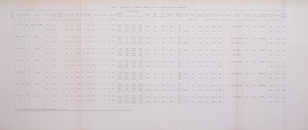 Archivio per lo studio della fisiopatologia e clinica del ricambio rassegna bimestrale