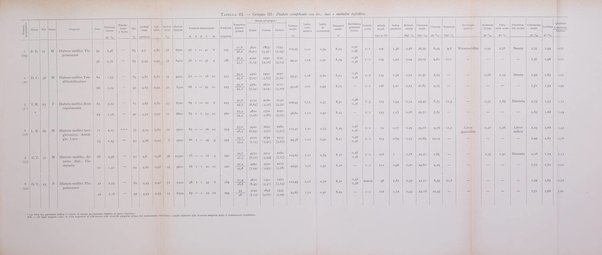 Archivio per lo studio della fisiopatologia e clinica del ricambio rassegna bimestrale