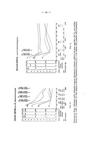 Archivio per lo studio della fisiopatologia e clinica del ricambio rassegna bimestrale