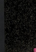 giornale/RML0025527/1925/unico/00000001