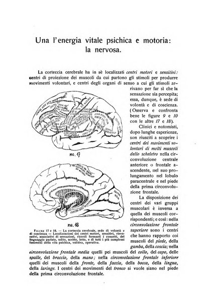 Rivista pedagogica pubblicazione mensile dell'Associazione nazionale per gli studi pedagogici