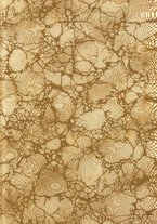 giornale/RML0025551/1920/unico/00000003