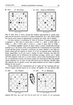 giornale/RML0025563/1905/v.6/00000033