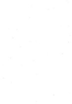 giornale/RML0025563/1908/v.9/00000061