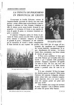 giornale/RML0025588/1937-1938/unico/00000593