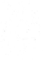 giornale/RML0025667/1919/V.1/00000004