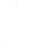 giornale/RML0025667/1925/V.1/00000003