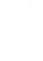 giornale/RML0025667/1941/V.2/00000003