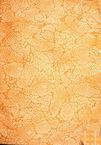 giornale/RML0025699/1933/unico/00000003