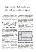 giornale/RML0025733/1929/unico/00000225
