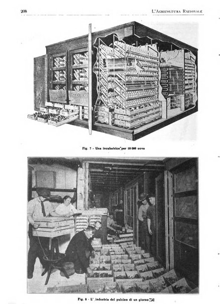 L'agricoltura razionale rivista dell'Ente nazionale italiano per l'organizzazione scientifica del lavoro