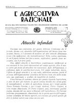 giornale/RML0025733/1931/unico/00000043