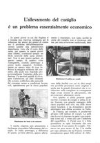 giornale/RML0025733/1931/unico/00000047