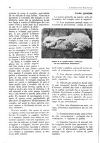 giornale/RML0025733/1931/unico/00000048