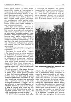 giornale/RML0025733/1931/unico/00000095