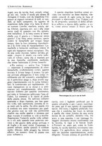 giornale/RML0025733/1931/unico/00000097