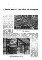 giornale/RML0025733/1931/unico/00000161