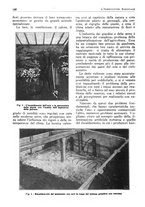 giornale/RML0025733/1931/unico/00000162