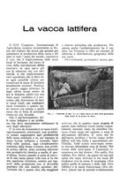 giornale/RML0025733/1931/unico/00000171