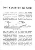 giornale/RML0025733/1931/unico/00000239