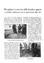 giornale/RML0025733/1931/unico/00000250