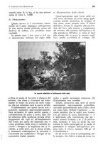 giornale/RML0025733/1931/unico/00000253