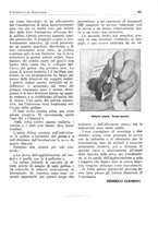 giornale/RML0025733/1931/unico/00000341