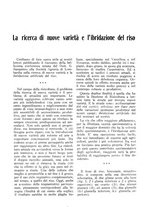 giornale/RML0025733/1931/unico/00000347