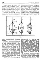 giornale/RML0025733/1931/unico/00000348