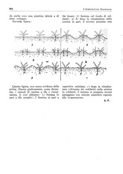 L'agricoltura razionale rivista dell'Ente nazionale italiano per l'organizzazione scientifica del lavoro