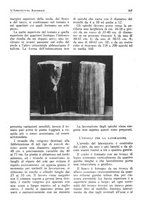 giornale/RML0025733/1931/unico/00000357